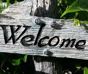 About Our Steadprep Social Blog