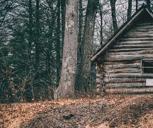 The Off-Grid Lifestyle: Live Happy & Free