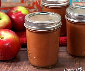 Apple Butter Canning Recipe