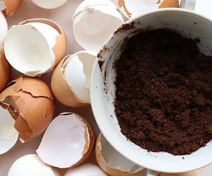 The Best Way To Save & Store Coffee Grounds & Egg Shells – Without Having Them Mold!
