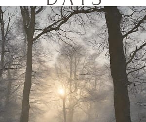 Things to Keep Your Mind Busy Through the Rest of a Long Winter
