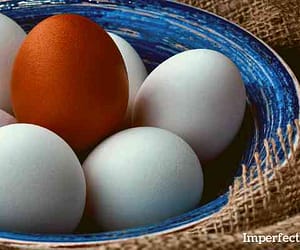 Hens That Lay Colored Eggs