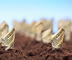 Insights from AgAmerica’s 2025 Agricultural Economic Report