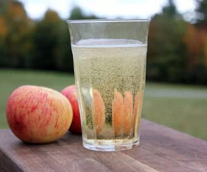 The Best Apples for Hard Cider