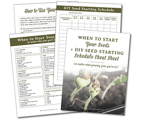 7 Things to Consider When Planning Your Vegetable Garden