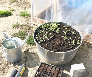 When To Plant A Vegetable Garden + Other FAQ’S