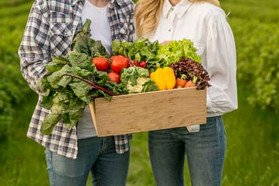 close-up-couple-with-vegetables-basket